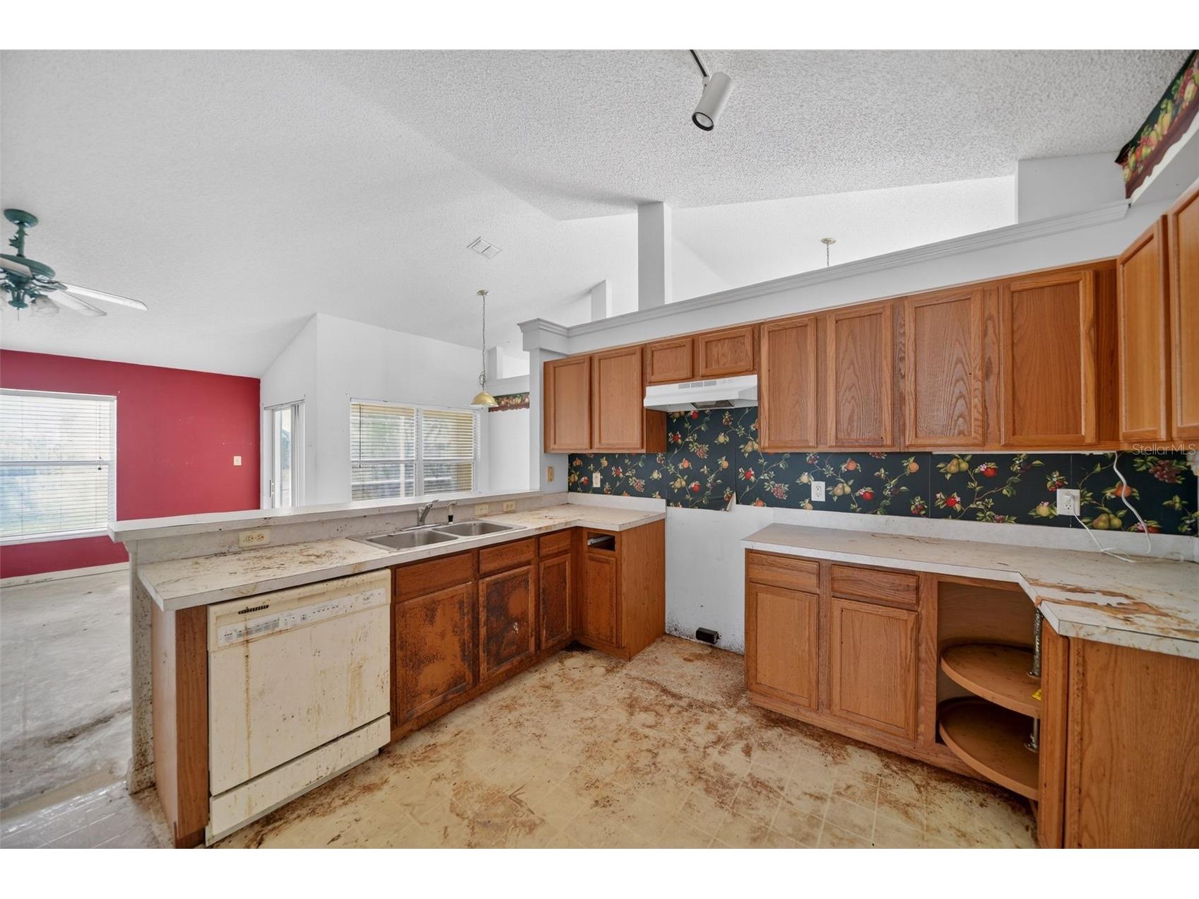 2518 Maywood Street Eustis FL 32726 O6394555 image23