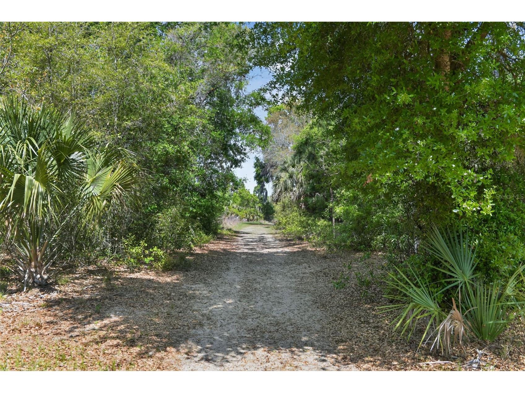 2518 Maywood Street Eustis FL 32726 O6394555 image40