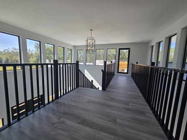 2518 Sunset Lane Lutz FL 33559 TB8449174 image21