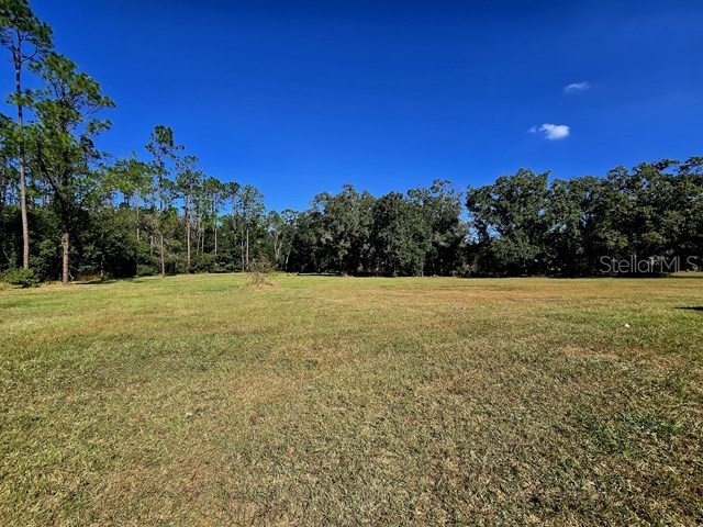 2518 Sunset Lane Lutz FL 33559 TB8449174 image32