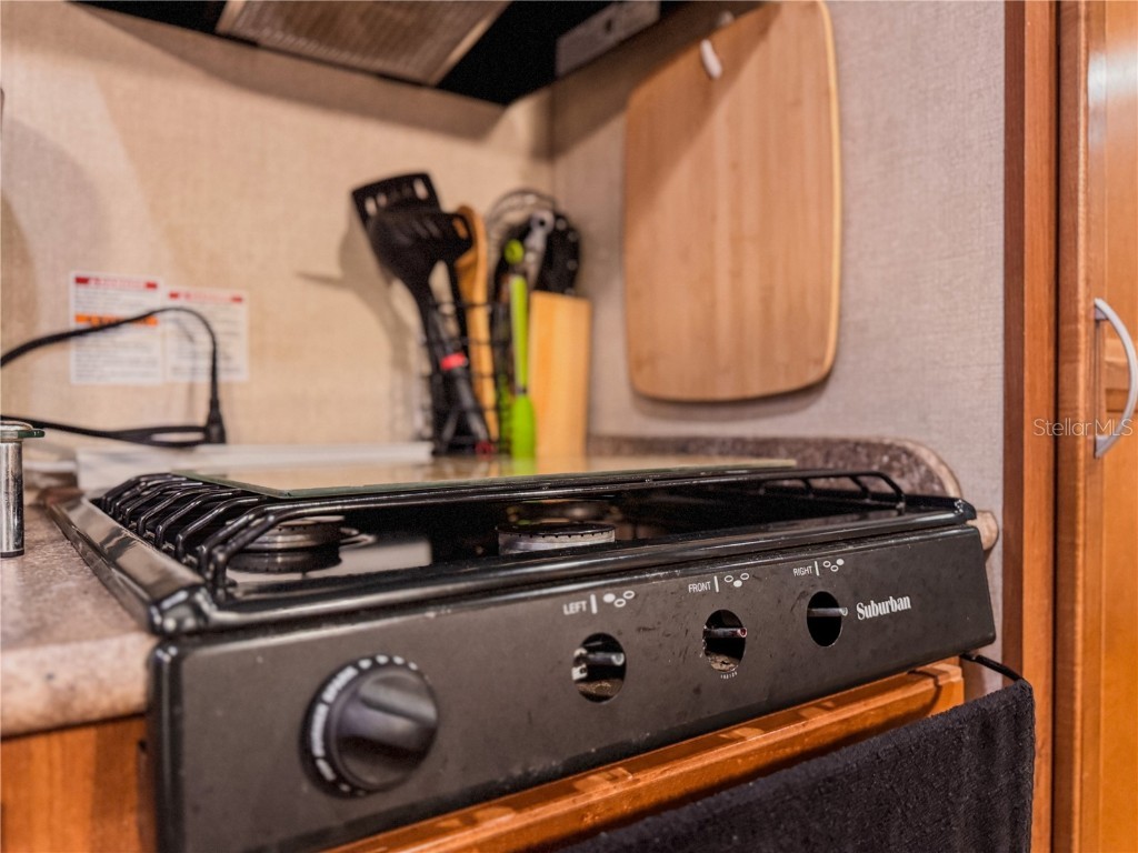 25184 143rd Place Salt Springs FL 32134 G5103338 image10