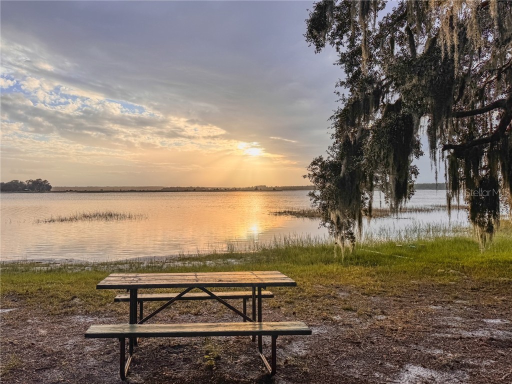 25184 143rd Place Salt Springs FL 32134 G5103338 image39
