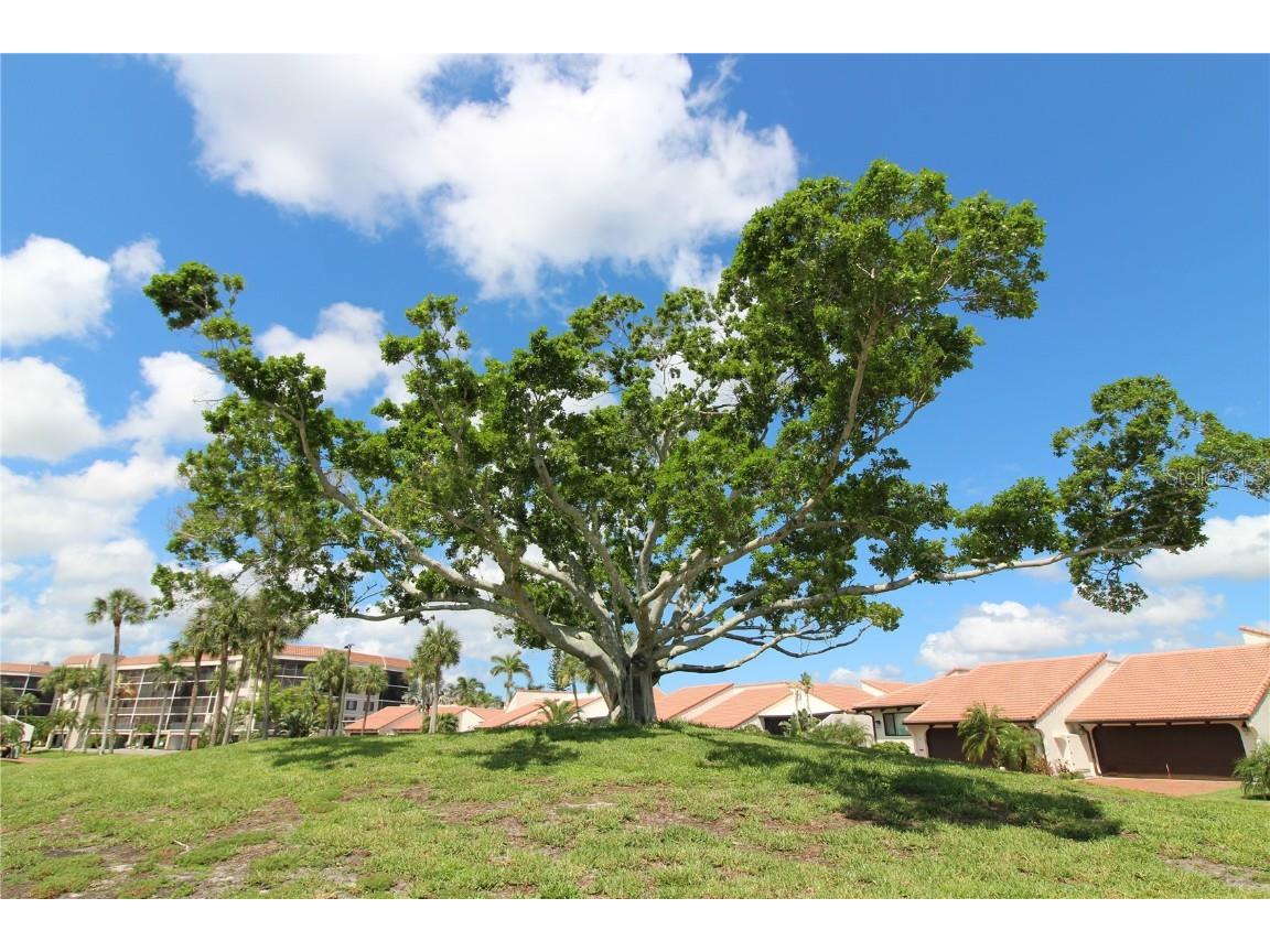 25188 Marion Avenue #24 Punta Gorda FL 33950 C7511982 image3