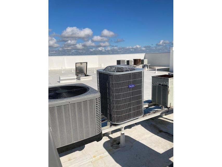 25188 Marion Avenue #F205 Punta Gorda FL 33950 - PEACE RIVER C7515124 image51