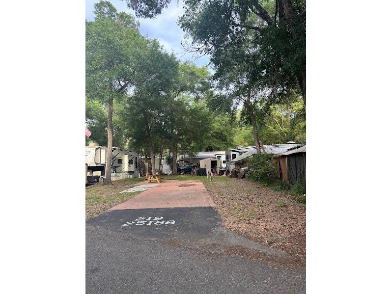 25188 NE 142nd Place #219 Fort Mc Coy FL 32134 - LITTLE LAKE KERR OM720860 image1
