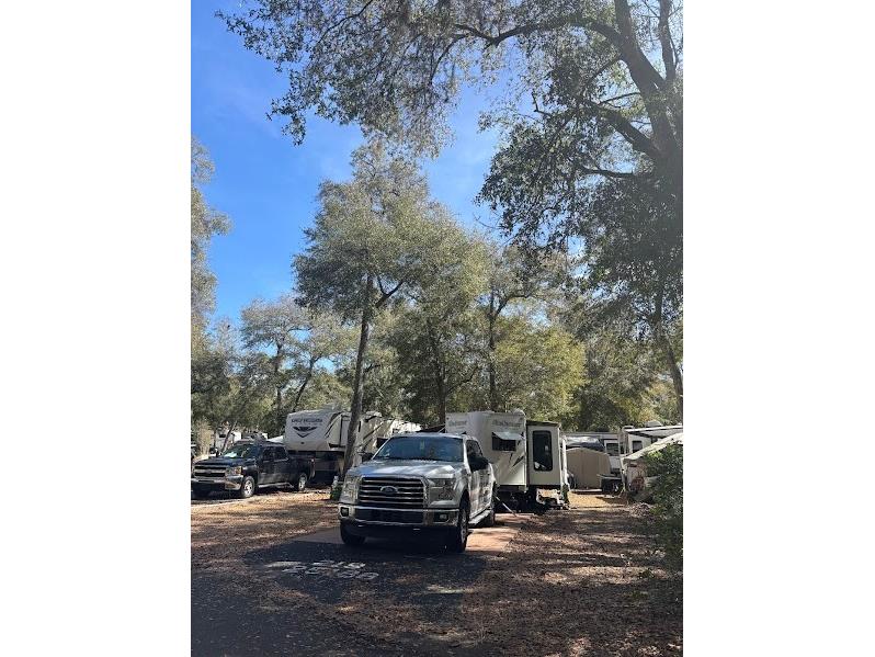 25188 NE 142nd Place #219 Fort Mc Coy FL 32134 - LITTLE LAKE KERR OM720860 image4