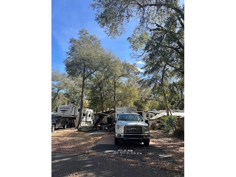 25188 NE 142nd Place #219 Fort Mc Coy FL 32134 - LITTLE LAKE KERR OM720860 image5