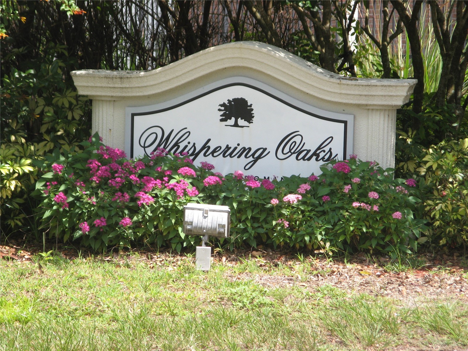 2519 Cedar Cypress Court #102 Tampa FL 33618 - LAKE MAGDALENE TB8424269 image20