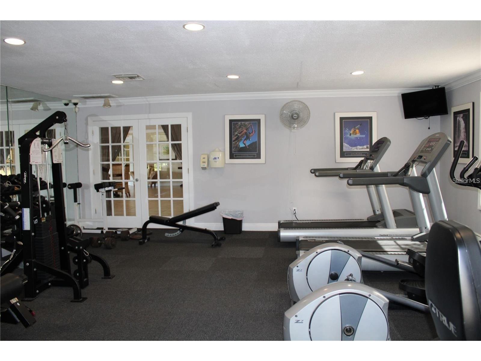 2519 Cedar Cypress Court #102 Tampa FL 33618 - LAKE MAGDALENE TB8424269 image27