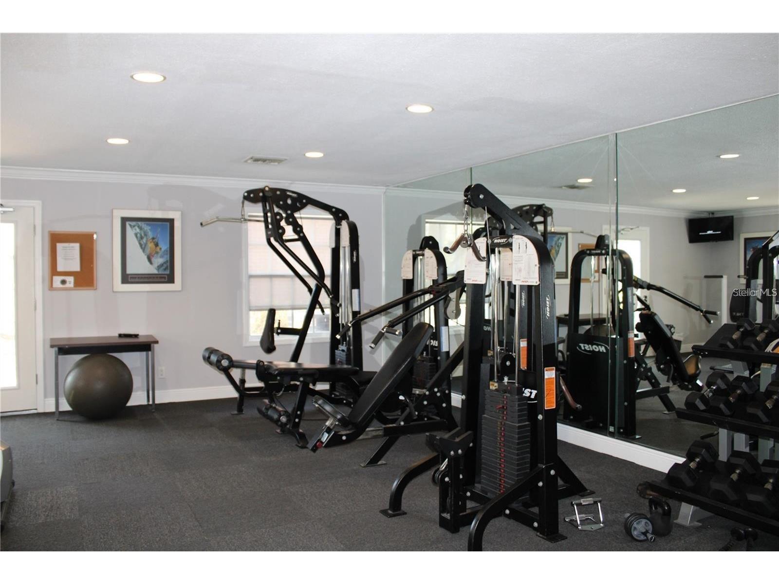 2519 Cedar Cypress Court #102 Tampa FL 33618 - LAKE MAGDALENE TB8424269 image28