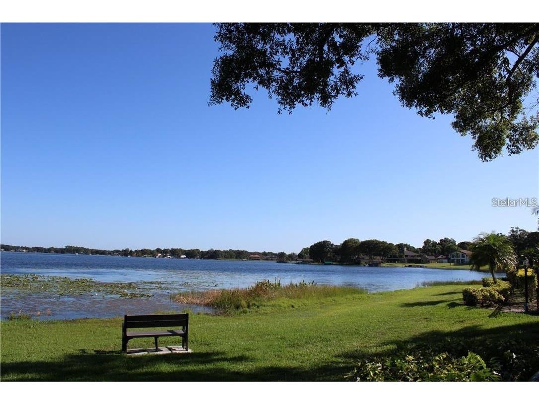 2519 Cedar Cypress Court #102 Tampa FL 33618 - LAKE MAGDALENE TB8424269 image35