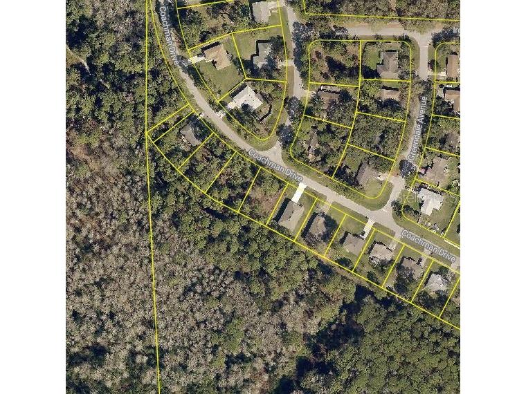 2519 Coachman Drive Deltona FL 32738 O6360485 image5