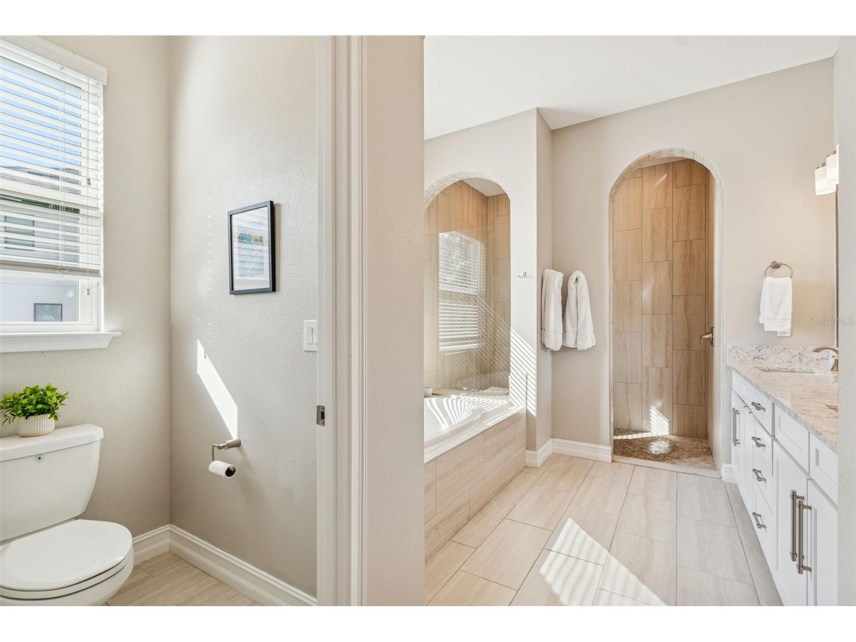 2519 Cordoba Ranch Boulevard Lutz FL 33559 A4677234 image40