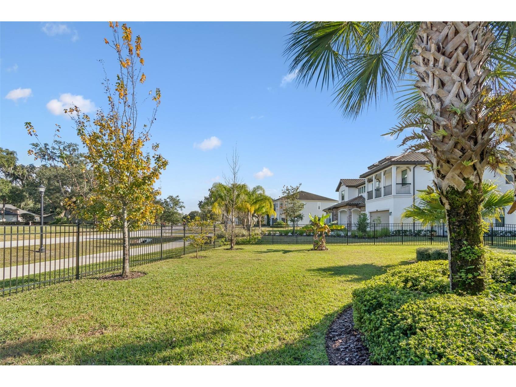 2519 Cordoba Ranch Boulevard Lutz FL 33559 A4677234 image53