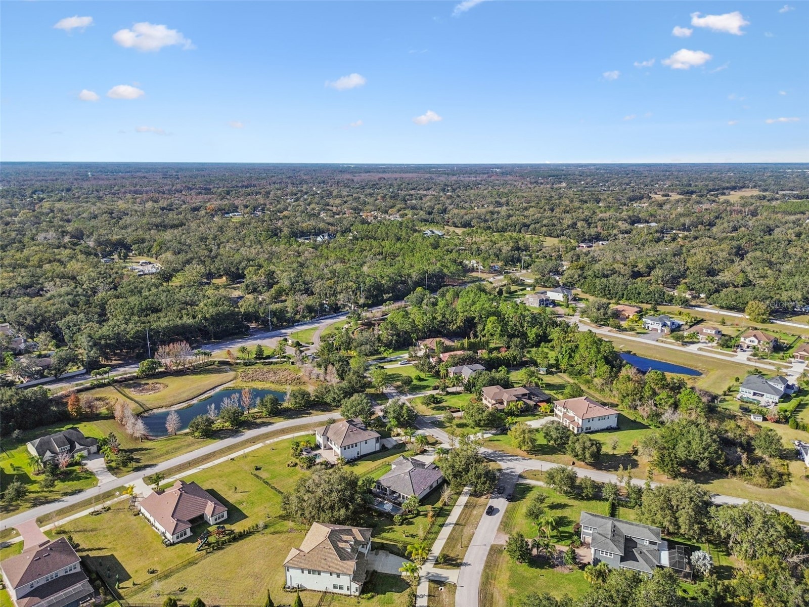 2519 Cordoba Ranch Boulevard Lutz FL 33559 A4677234 image66