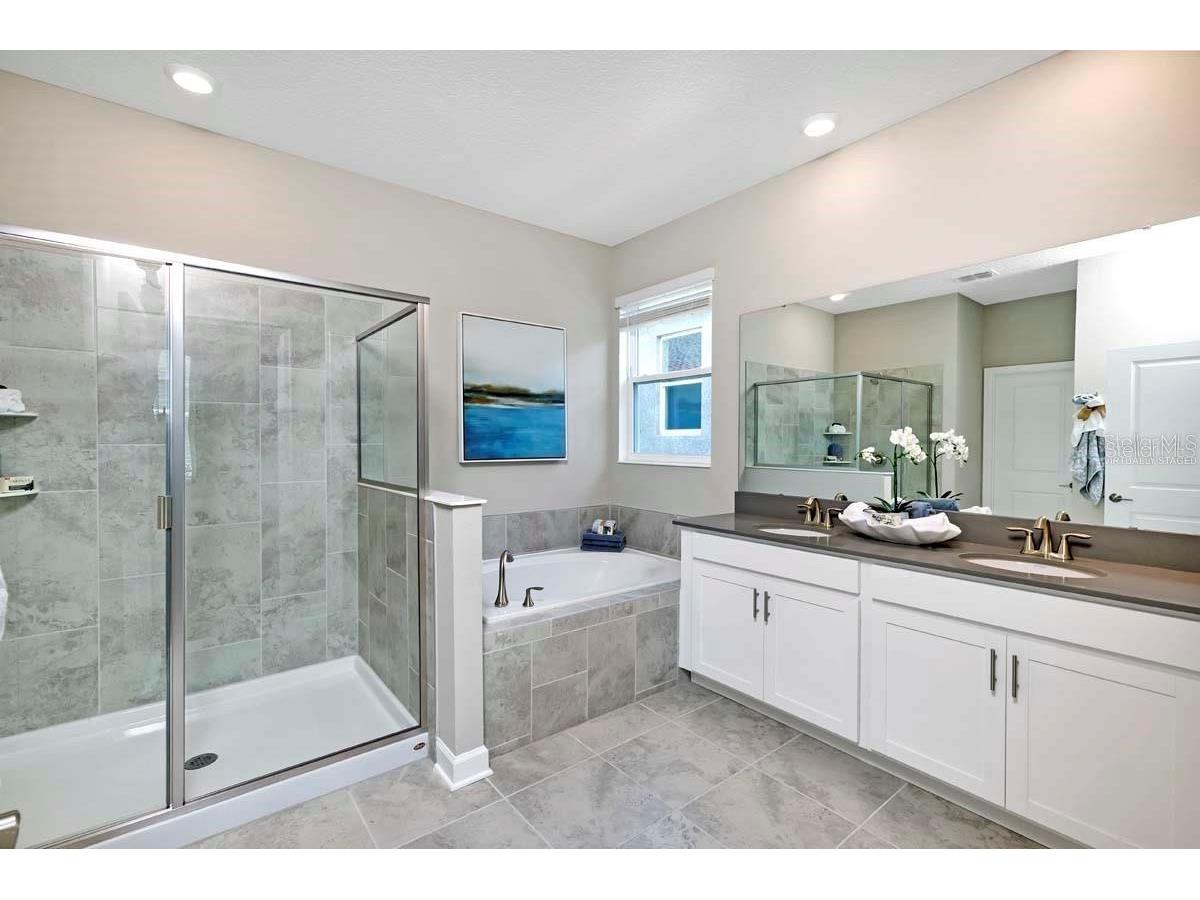 2519 Peace Of Mind Avenue Kissimmee FL 34744 S5149191 image4