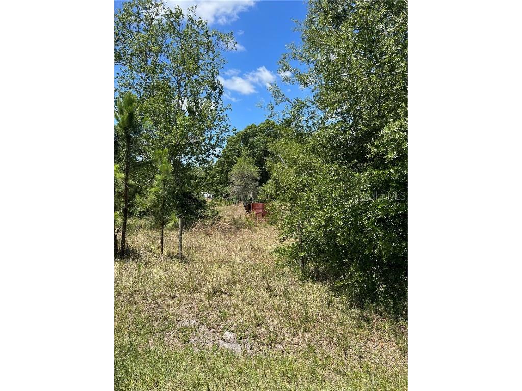 2519 State Road 33 Clermont FL 34714 O6112116 image7