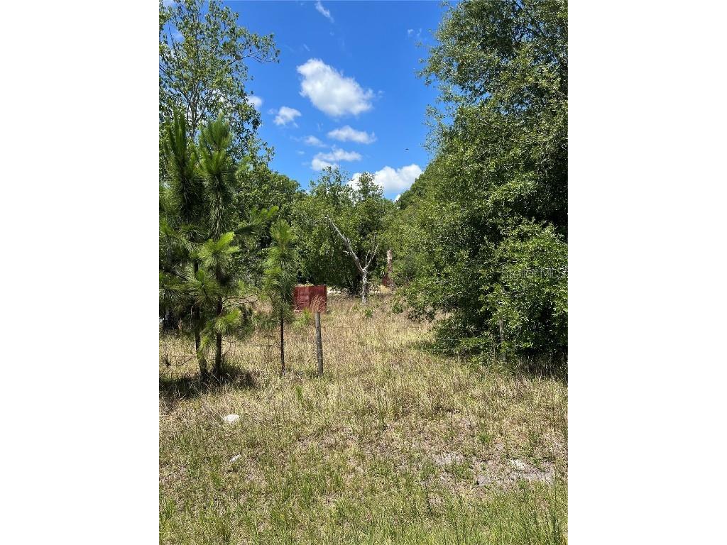 2519 State Road 33 Clermont FL 34714 O6112116 image8