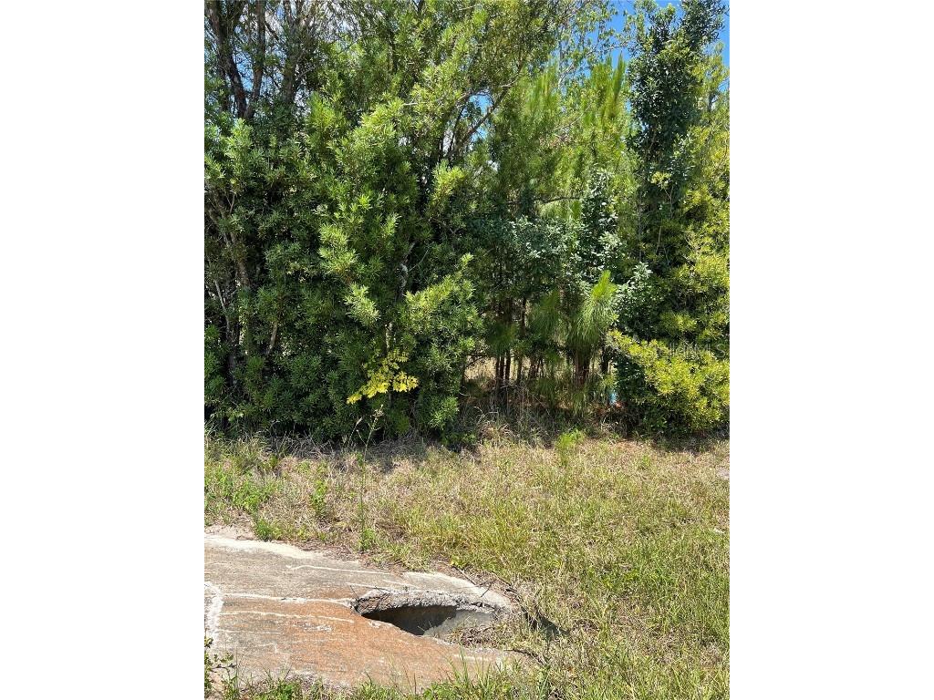 2519 State Road 33 Clermont FL 34714 O6112116 image9