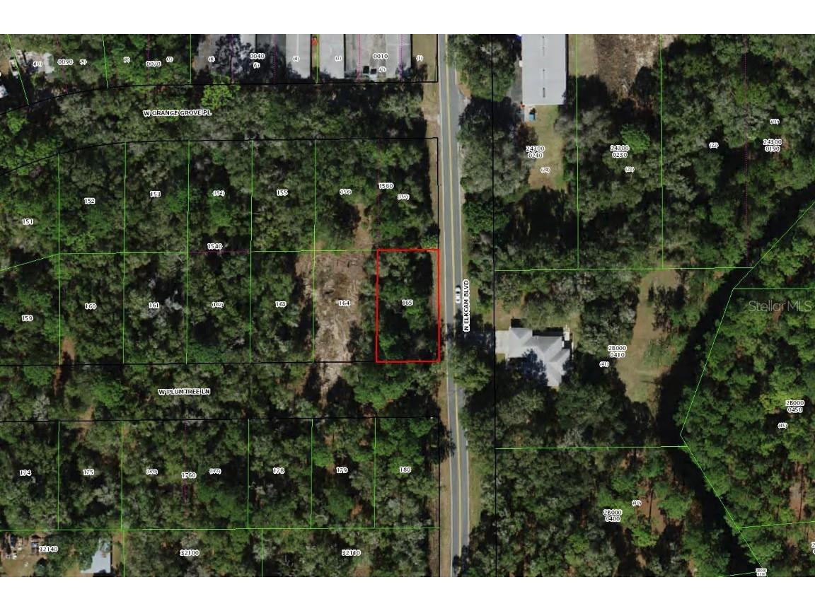 2519 W Plumtree Lane Dunnellon FL 34433 C7495833 image1