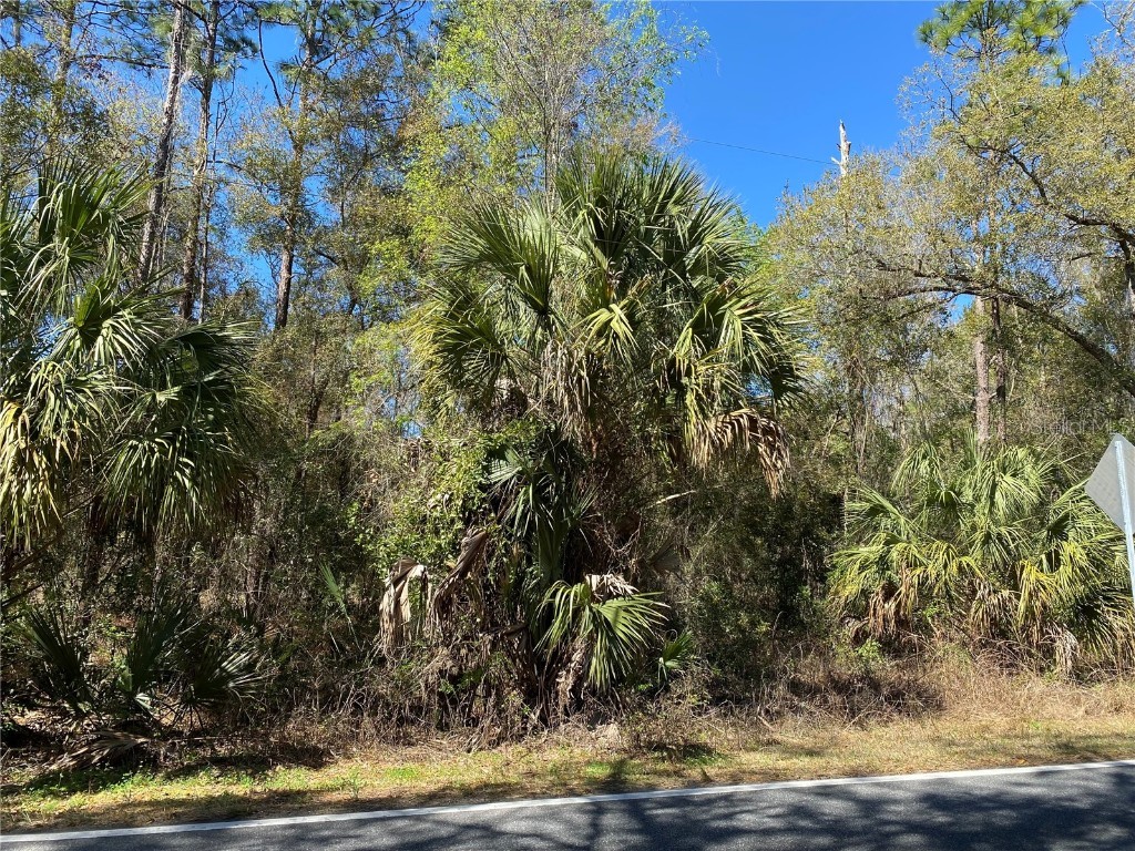 2519 W Plumtree Lane Dunnellon FL 34433 O6287518 image2