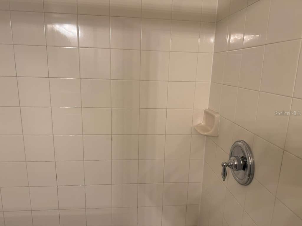 252 Bexley Drive Davenport FL 33897 O6395666 image25