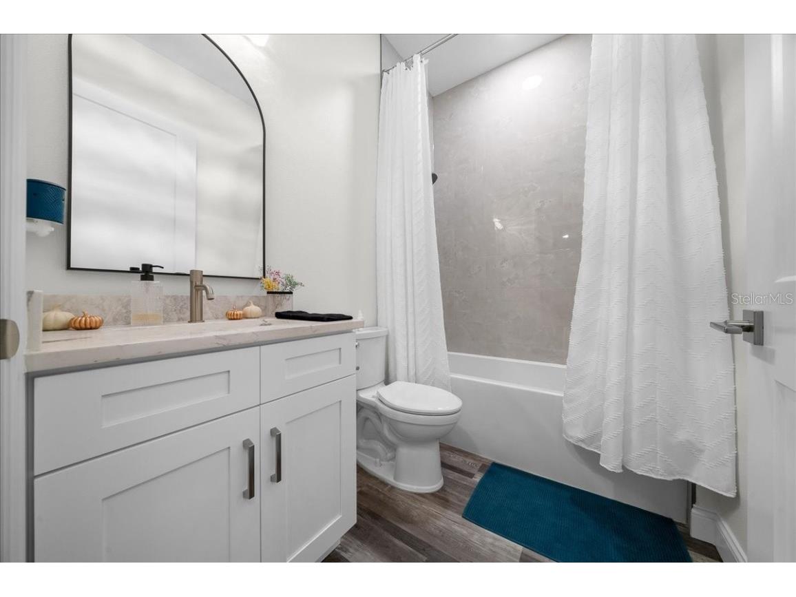 252 Malauka Road Ocklawaha FL 32179 OM712743 image35