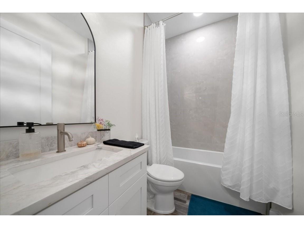 252 Malauka Road Ocklawaha FL 32179 OM712743 image36