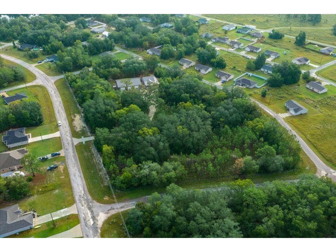 252 Malauka Road Ocklawaha FL 32179 OM712743 image71