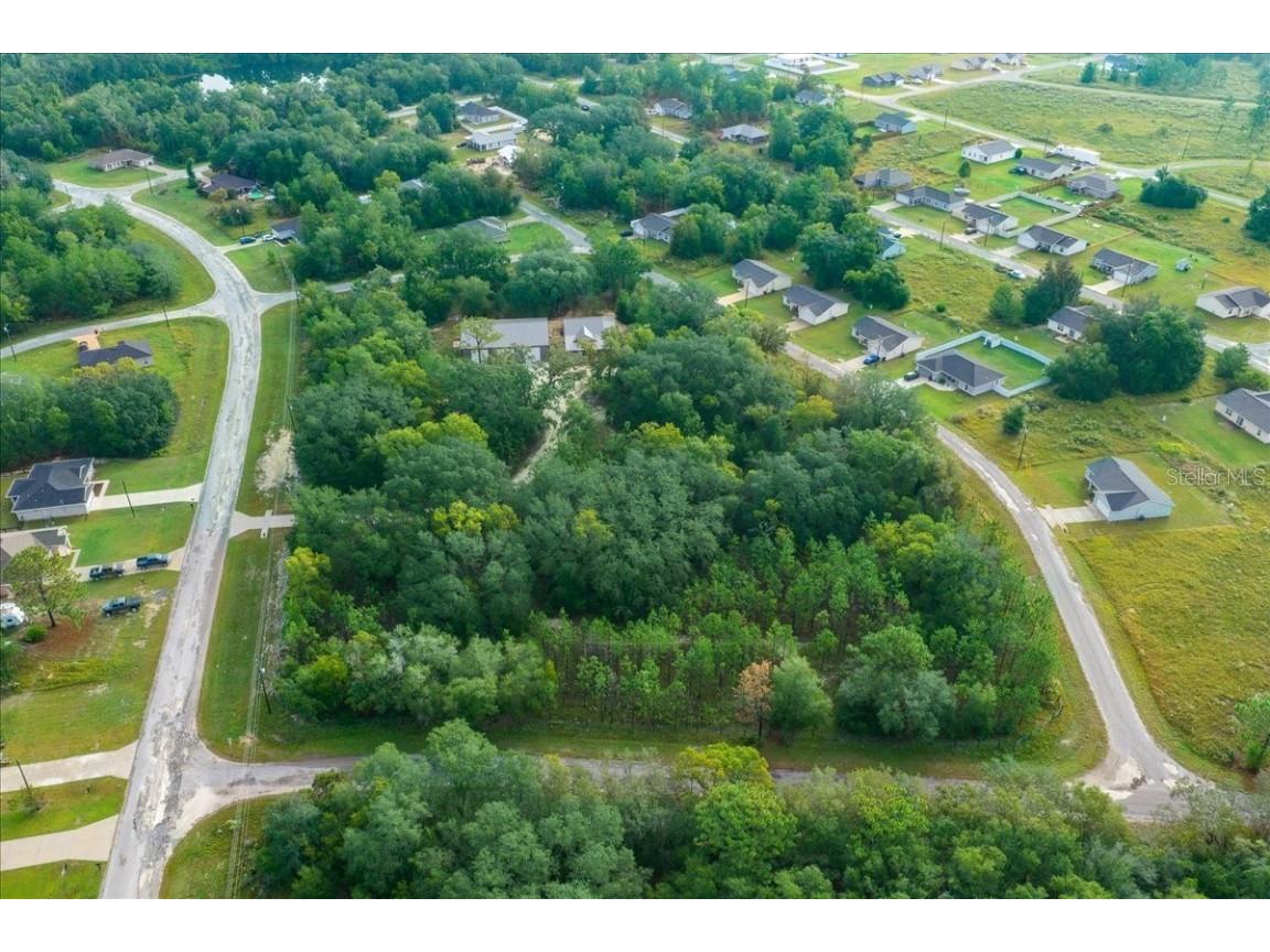 252 Malauka Road Ocklawaha FL 32179 OM712743 image73