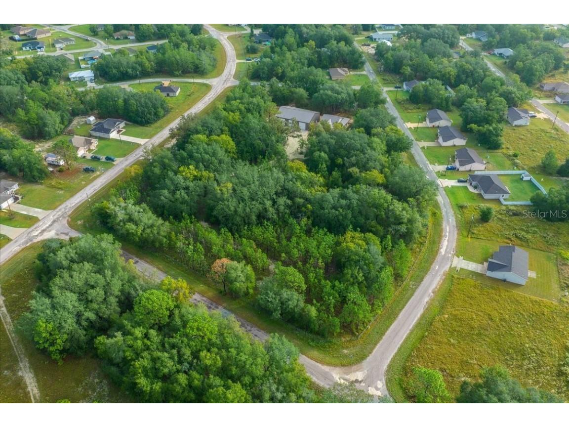 252 Malauka Road Ocklawaha FL 32179 OM712743 image75