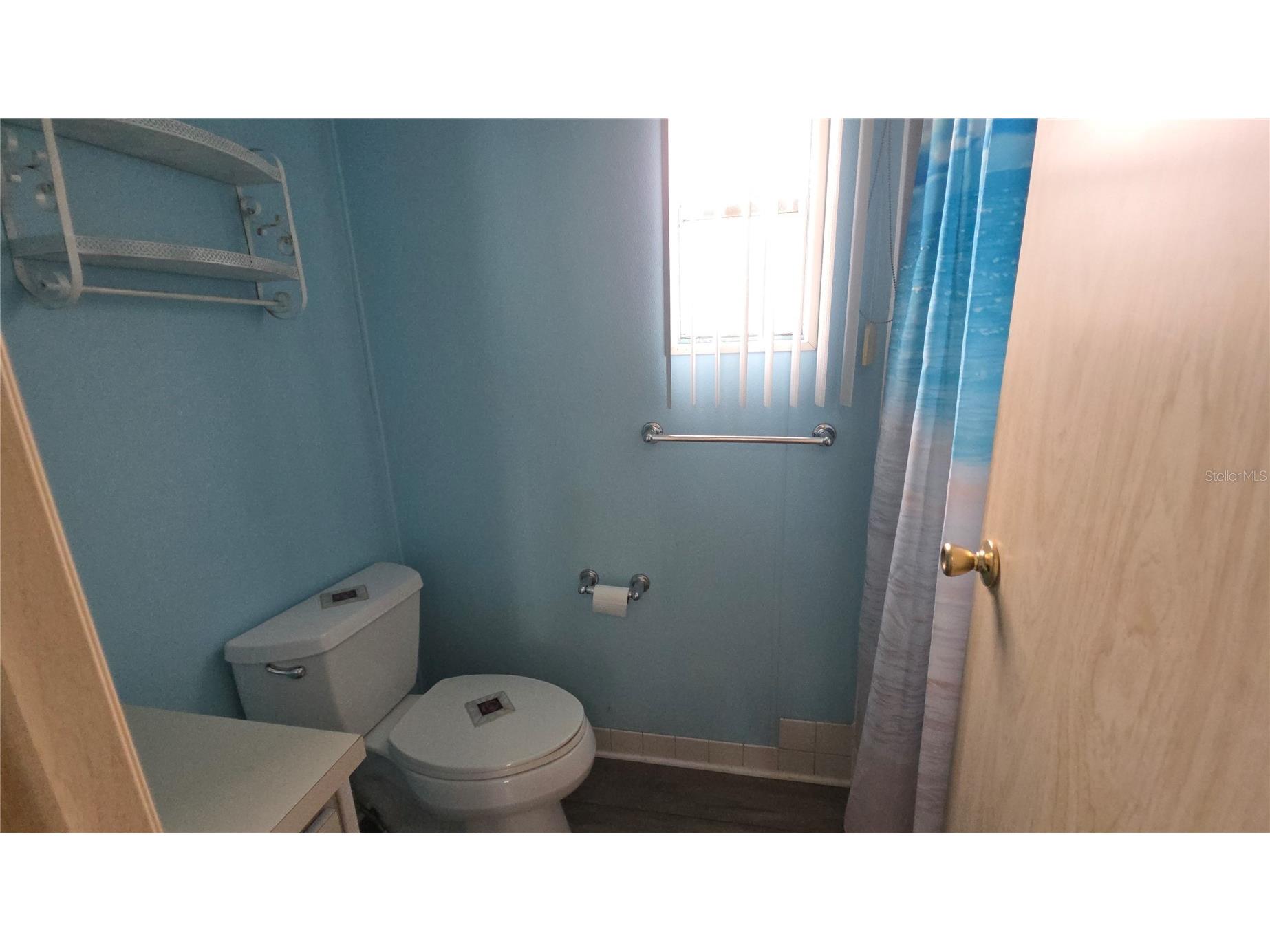 252 Pinewood Drive Eustis FL 32726 - Trout Lake G5108401 image20