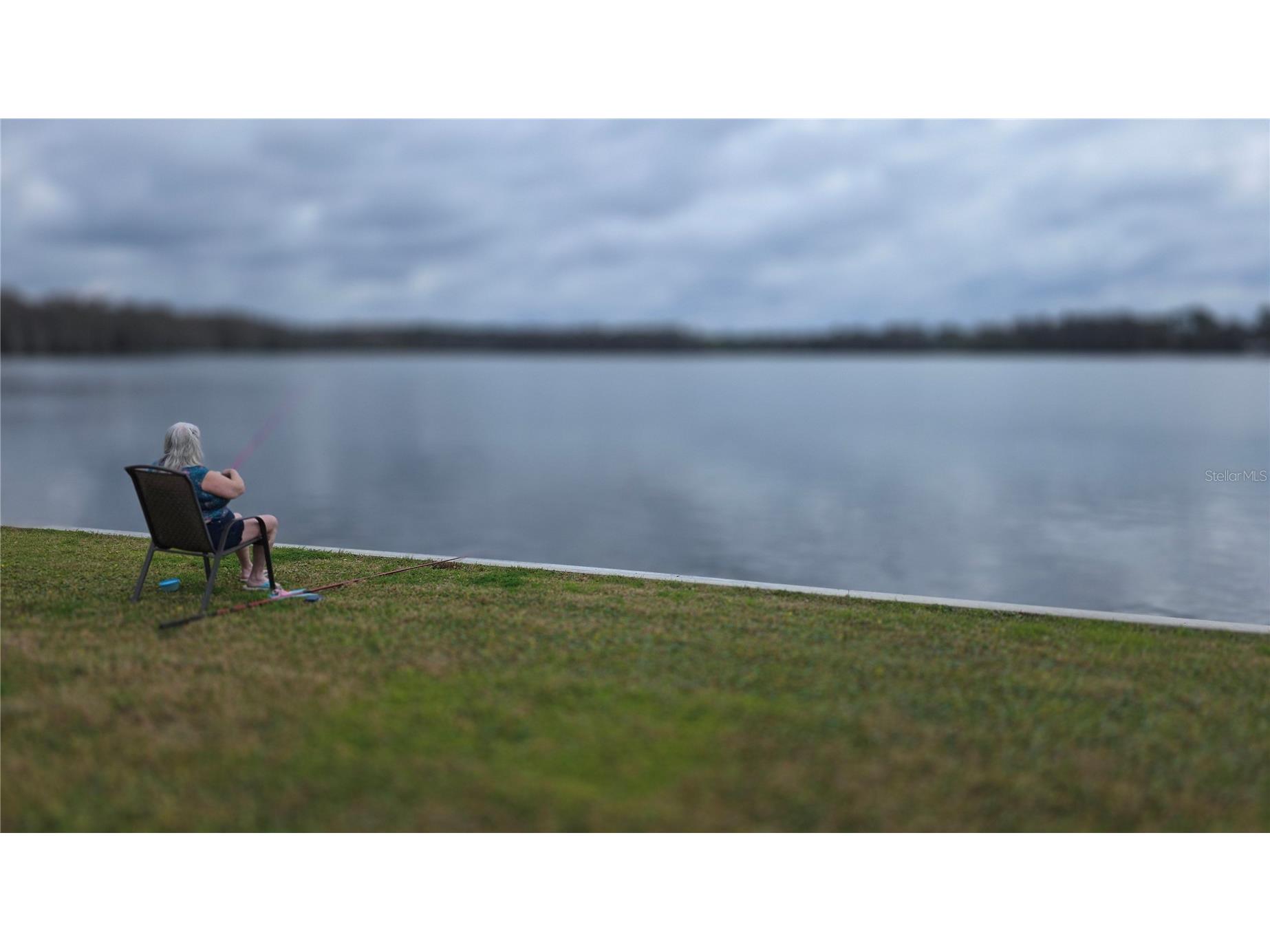 252 Pinewood Drive Eustis FL 32726 - Trout Lake G5108401 image28