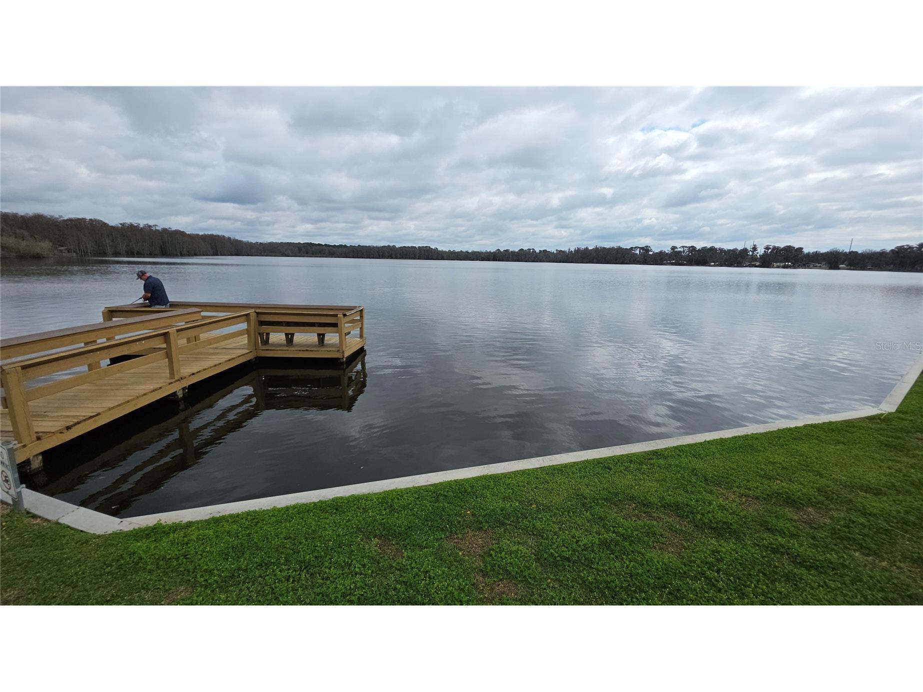 252 Pinewood Drive Eustis FL 32726 - Trout Lake G5108401 image31