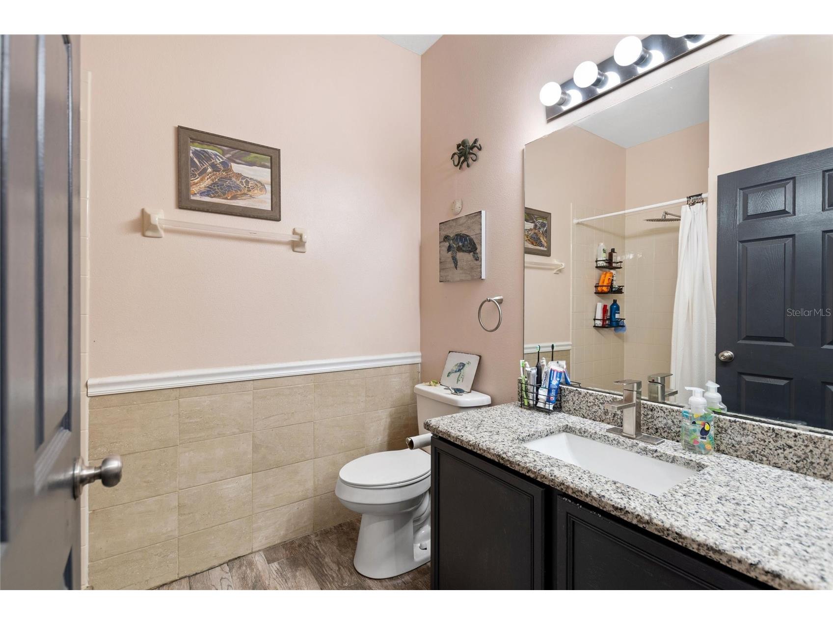 2520 Calla Lily Cove Kissimmee FL 34758 L4959586 image32