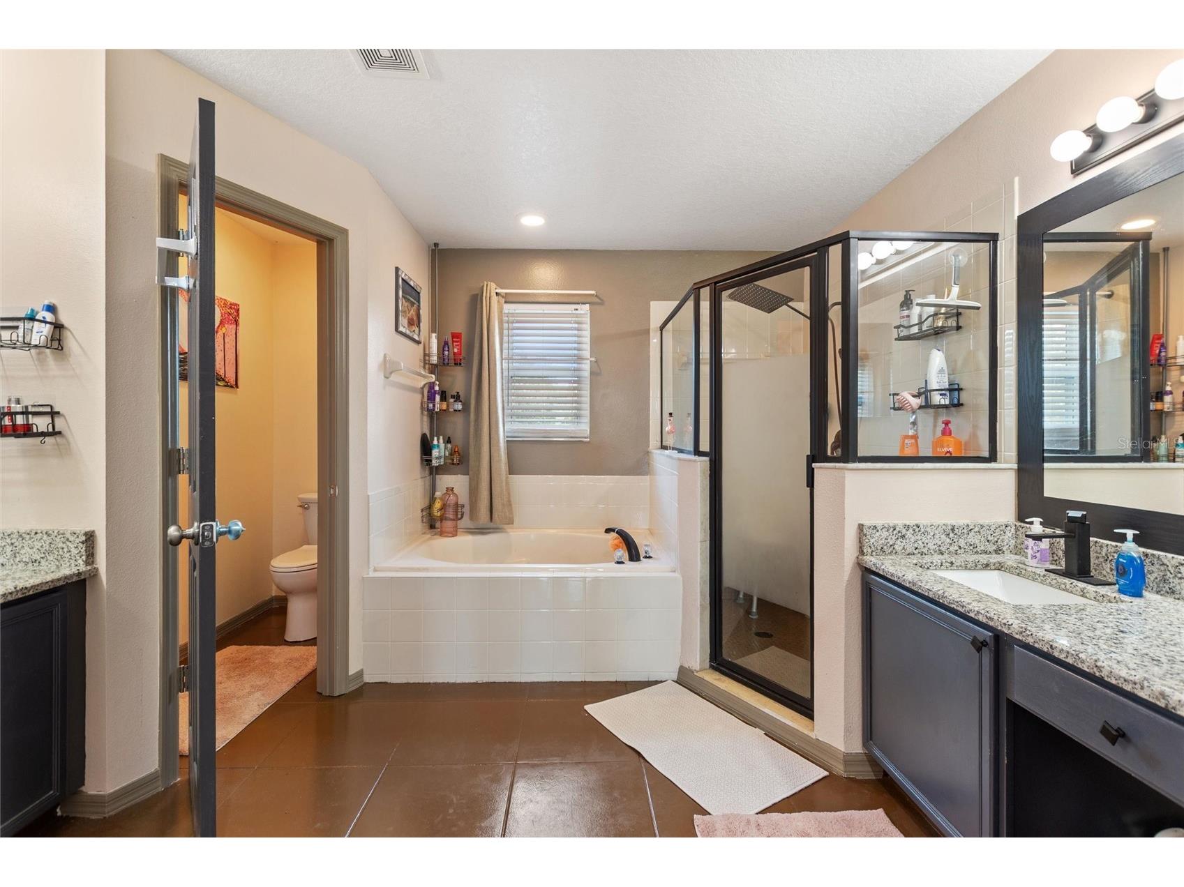 2520 Calla Lily Cove Kissimmee FL 34758 L4959586 image43