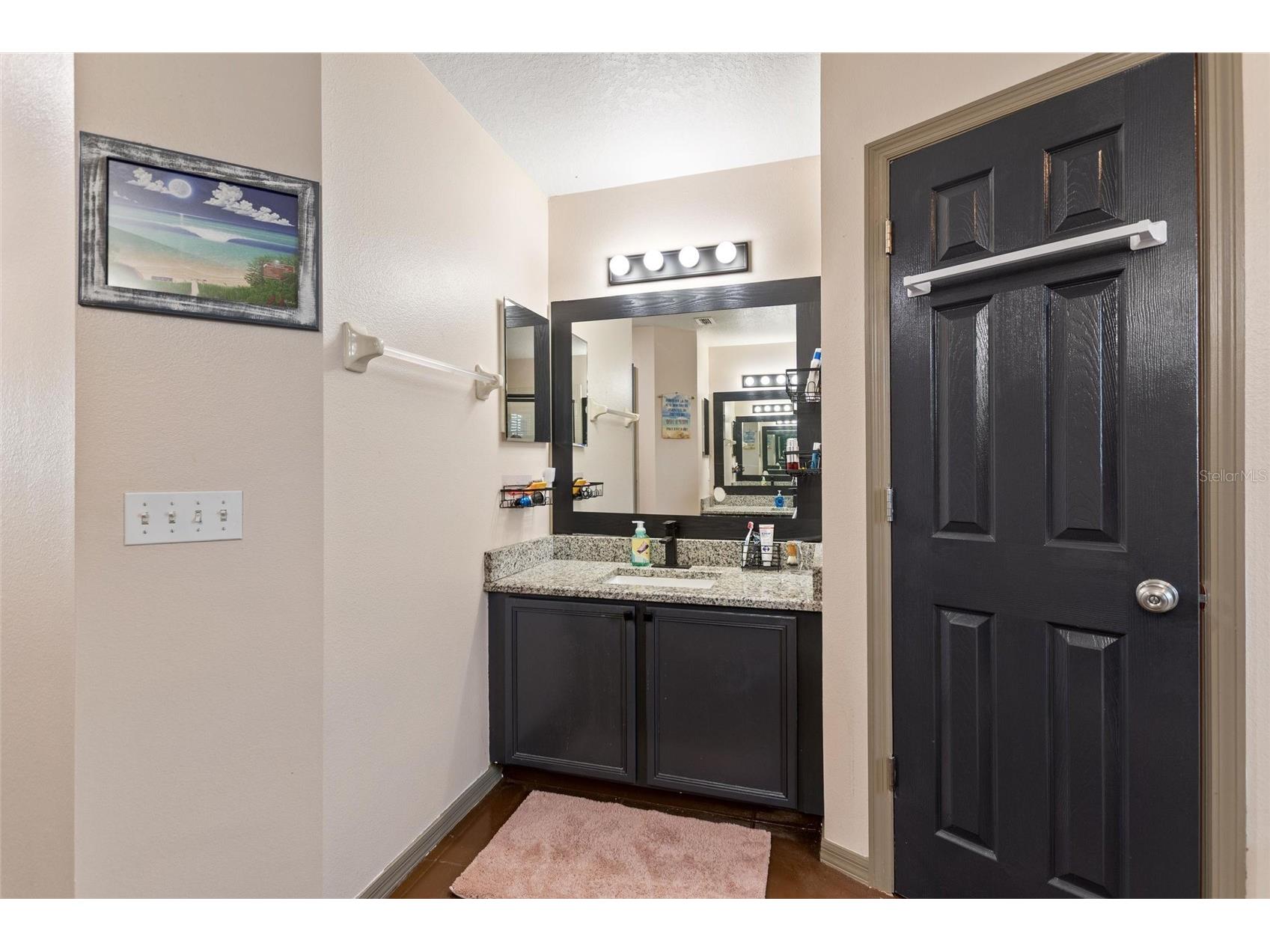 2520 Calla Lily Cove Kissimmee FL 34758 L4959586 image44