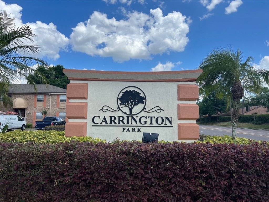 2520 Caper Lane #102 Maitland FL 32751 O6122361 image1