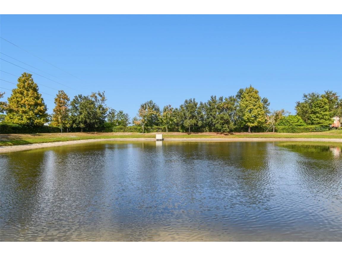 2520 Colony Reed Lane Clearwater FL 33763 TB8447778 image70