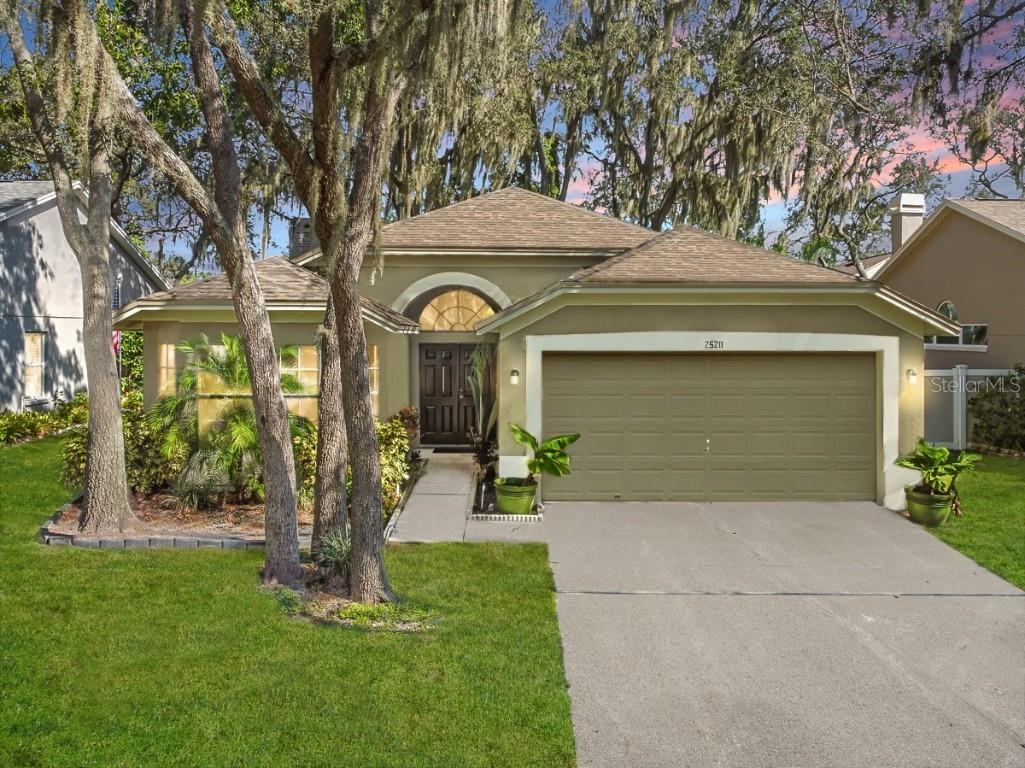 2520 Gotham Way Valrico FL 33596 T3475359 image1