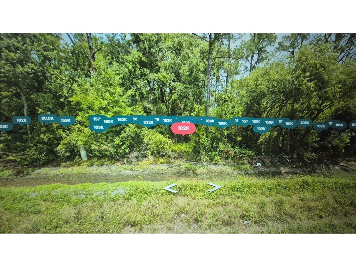 2520 Hammock Road Sebring FL 33872 O6350014 image1