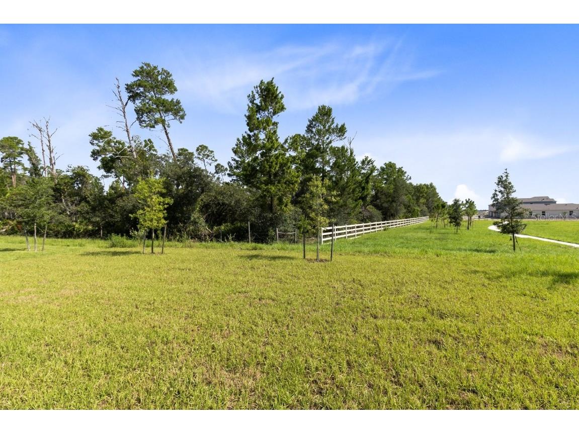 2520 Harmonia Hammock Road Harmony FL 34773 O6361444 image22