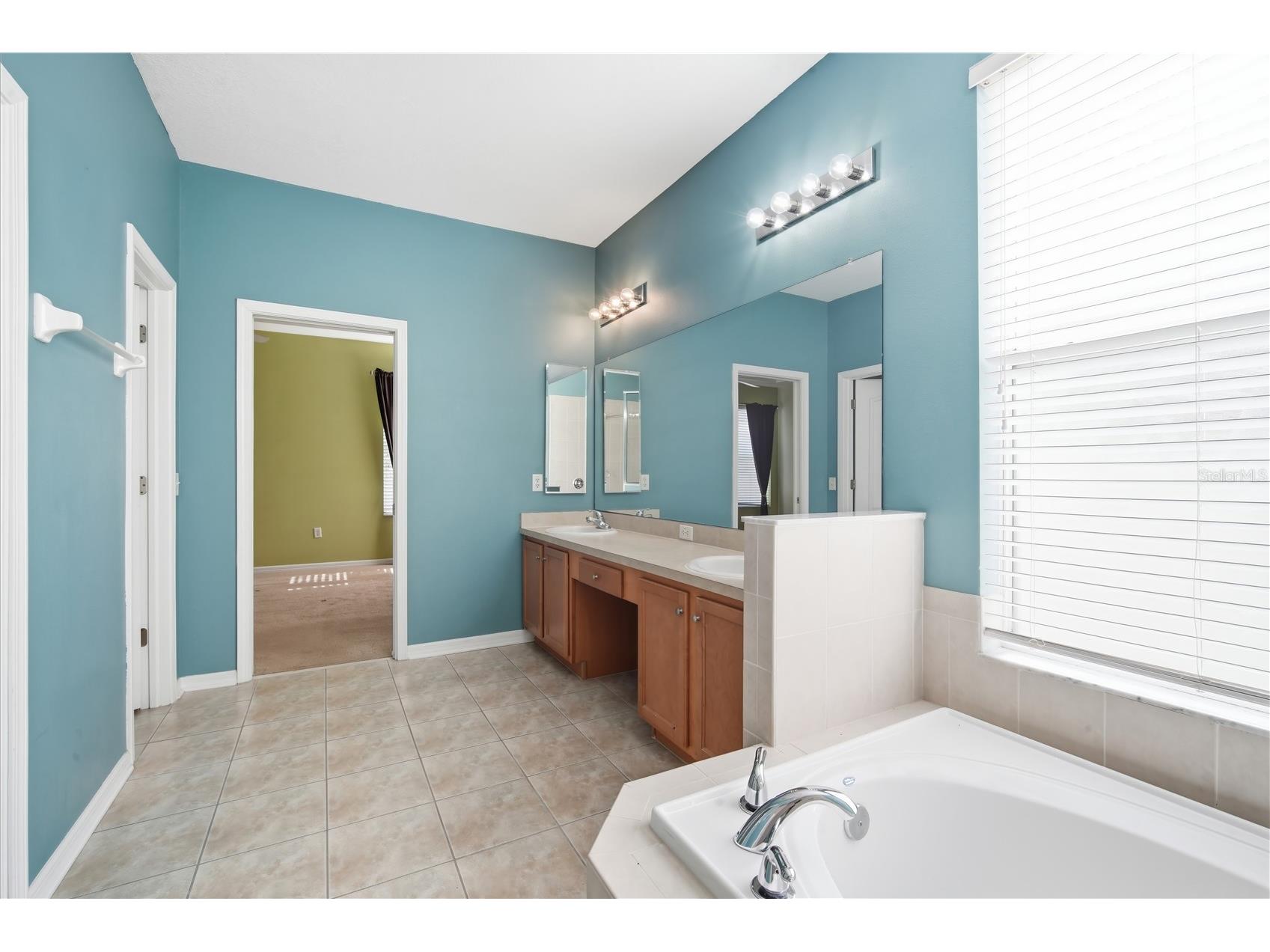 2520 Peekskill Road Valrico FL 33594 TB8532465 image20