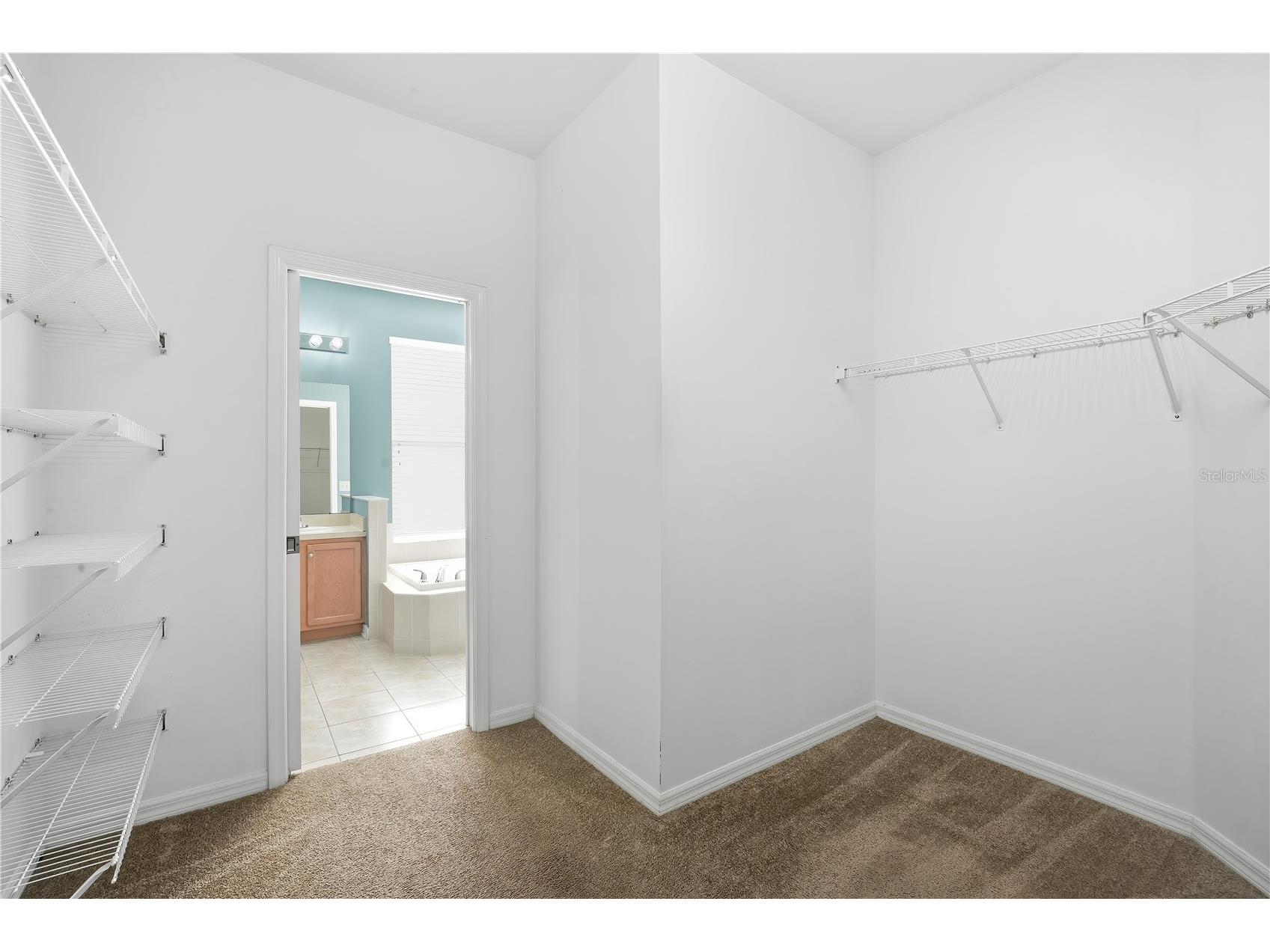 2520 Peekskill Road Valrico FL 33594 TB8532465 image21