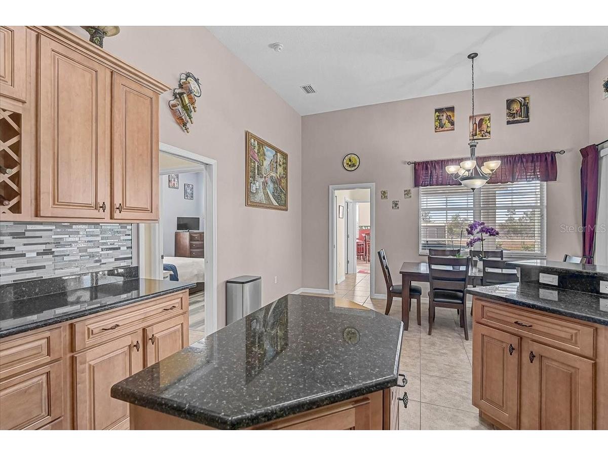 25202 E 61st Avenue Myakka City FL 34251 A4679172 image5