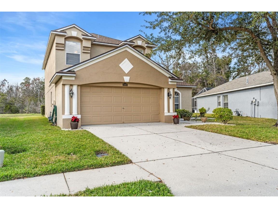 25203 Geddy Drive Land O Lakes FL 34639 U8189344 image1