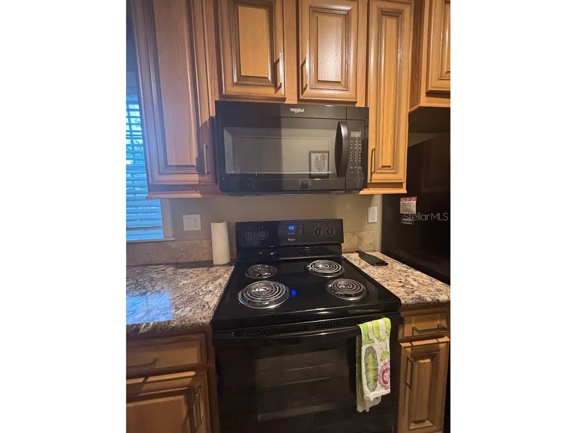 25203 NE 141st Lane #254 Salt Springs FL 32134 - LITTLE LAKE KERR OM720875 image18