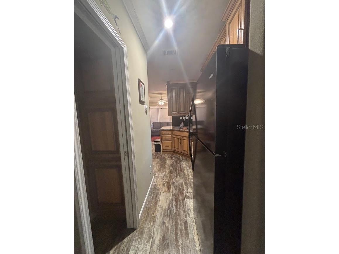 25203 NE 141st Lane #254 Salt Springs FL 32134 - LITTLE LAKE KERR OM720875 image26