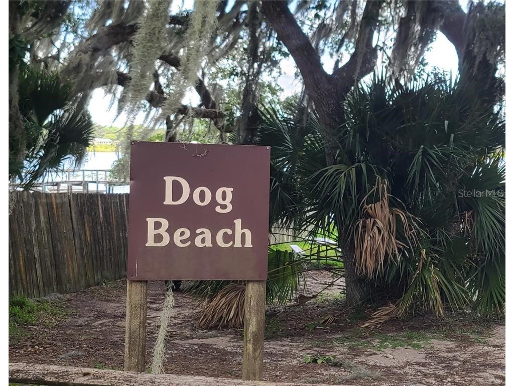 25205 NE 142nd Street Salt Springs FL 32134 G5104230 image18