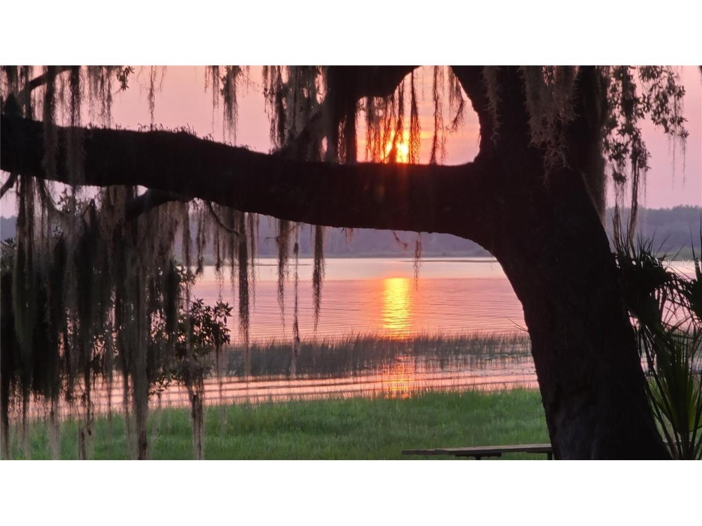 25205 NE 142nd Street Salt Springs FL 32134 G5104230 image2